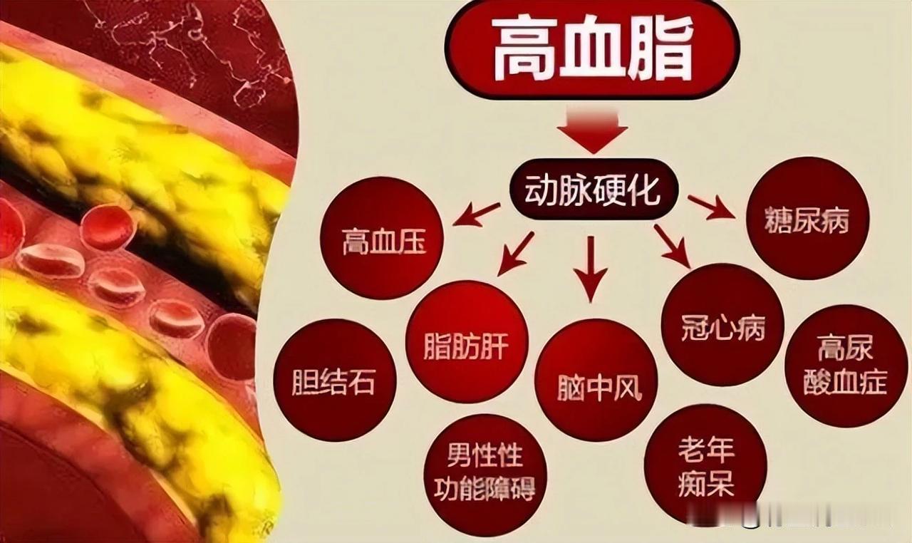 一颗中成药，守护血管健康，让你告别“淤堵”困扰

你是否曾经为心脑血管问题而担忧