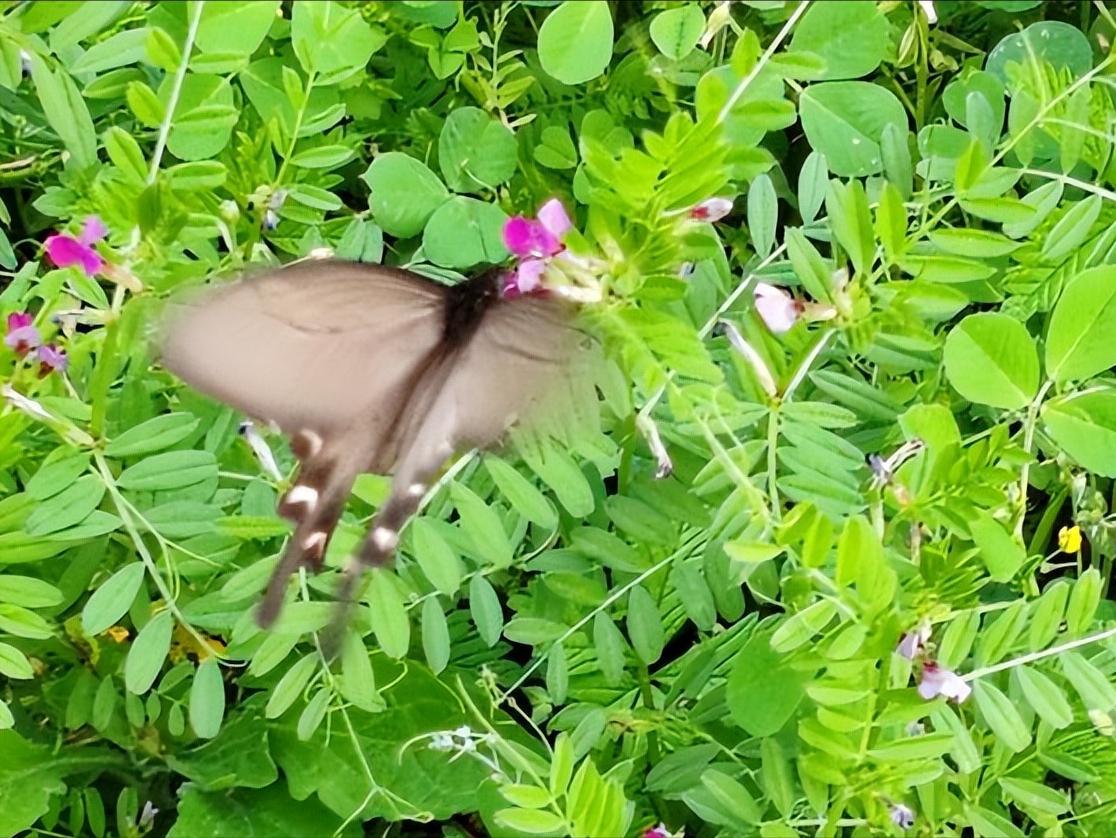 境外间谍渗透窃密早已不再只出现在影视剧里边境居民钓鱼爱好者网约车司机都曾挺身而出