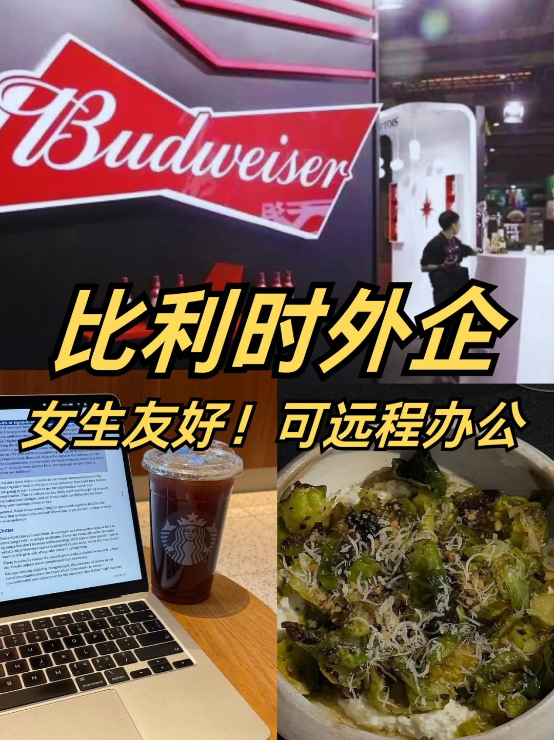 比利时外企🇧🇪女生友好、16周产假、远程办公