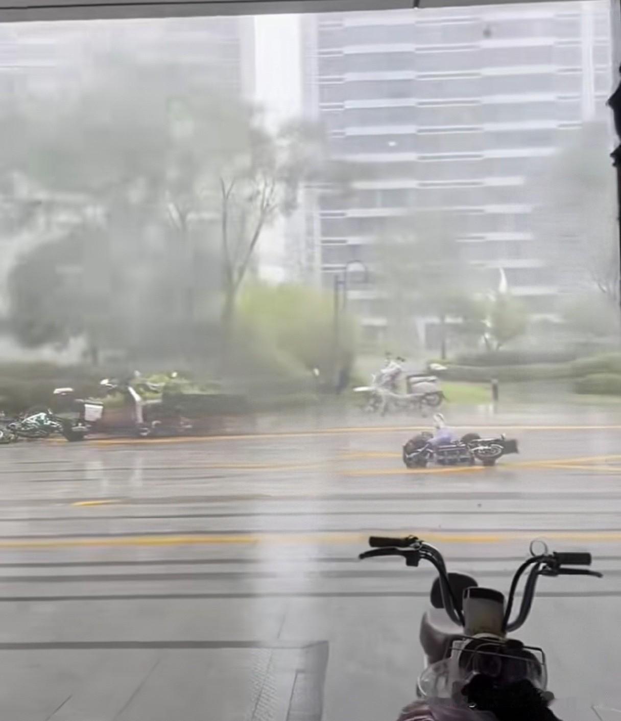 从8日起，风雨不断，且愈来愈烈，特别是9日中午开始，更是狂风怒号、暴雨如注！幸好