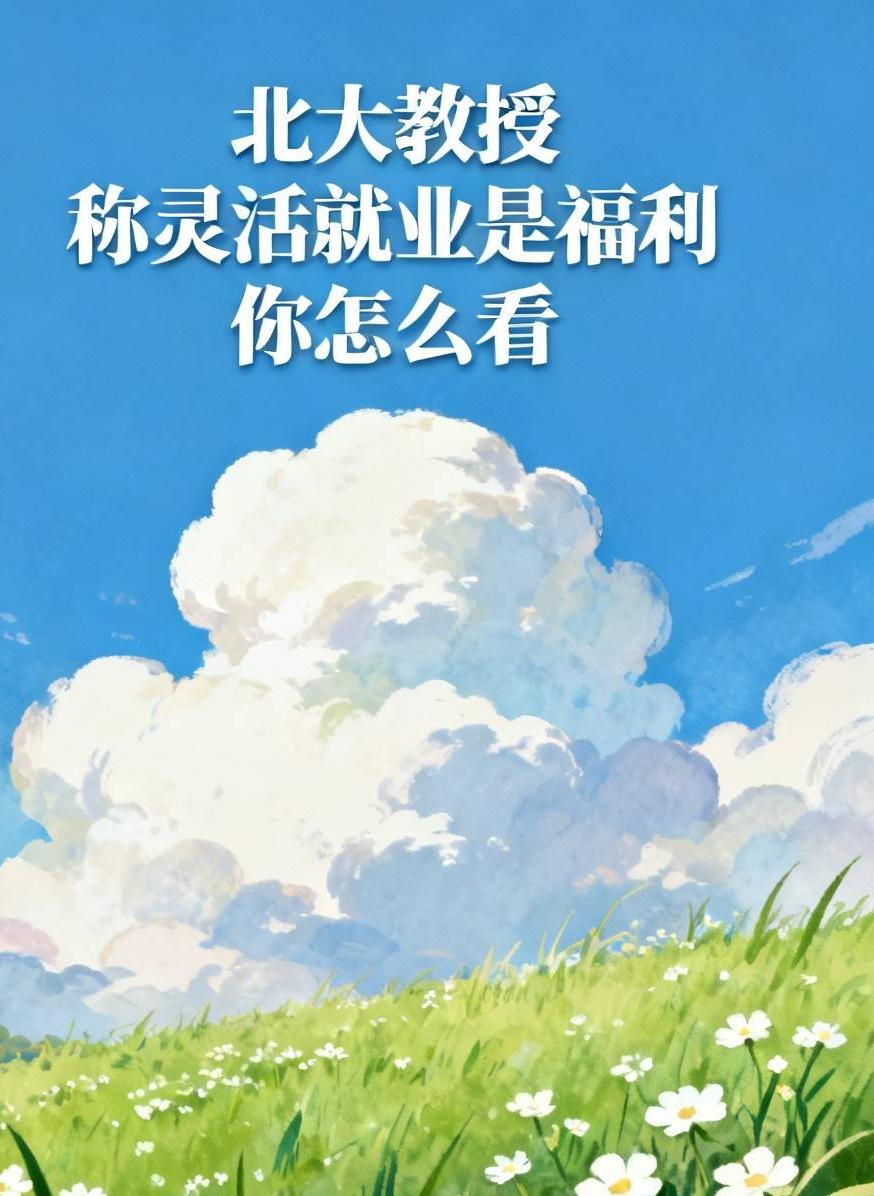 北大教授称灵活就业是福利你怎么看北大教授张丹丹说灵活就业是福利，实际上很多人并不