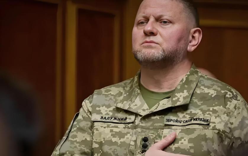 不明白为什么乌克兰人要支持扎卢日内，此人也没什么过人之处。他当年的确指挥了几场漂