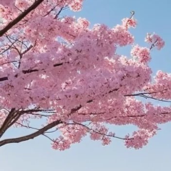 阳光信用[超话]  是花自然香，是爱自然长         我希望你走的路可以鲜