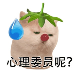 看着大家都放假了，而我13号才考完试…… 