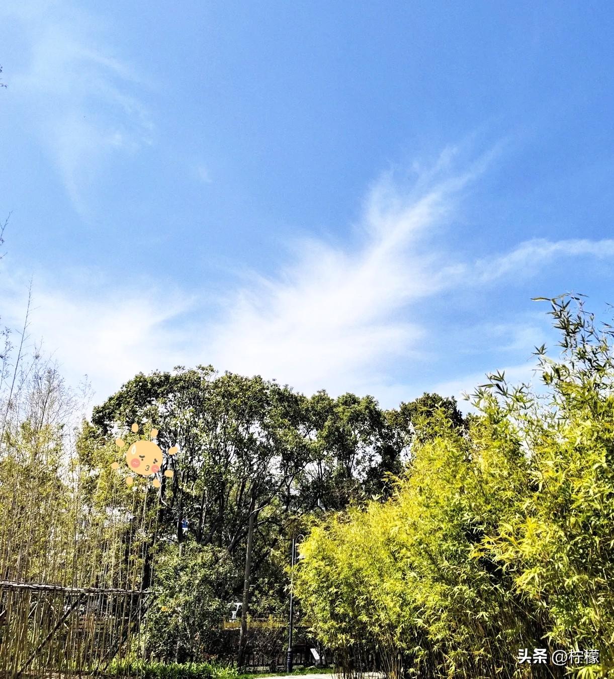 张雪峰给所有姑娘的忠告，我劝你一字一句读完：

“别为了一个人去一座城，要为了自