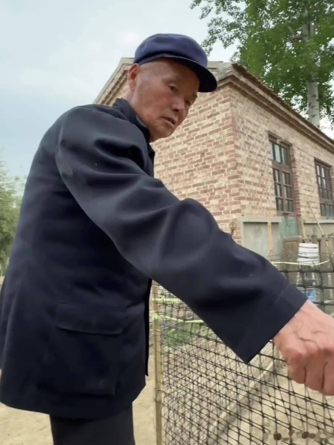 现在工作都有搭子了萌宠宠物