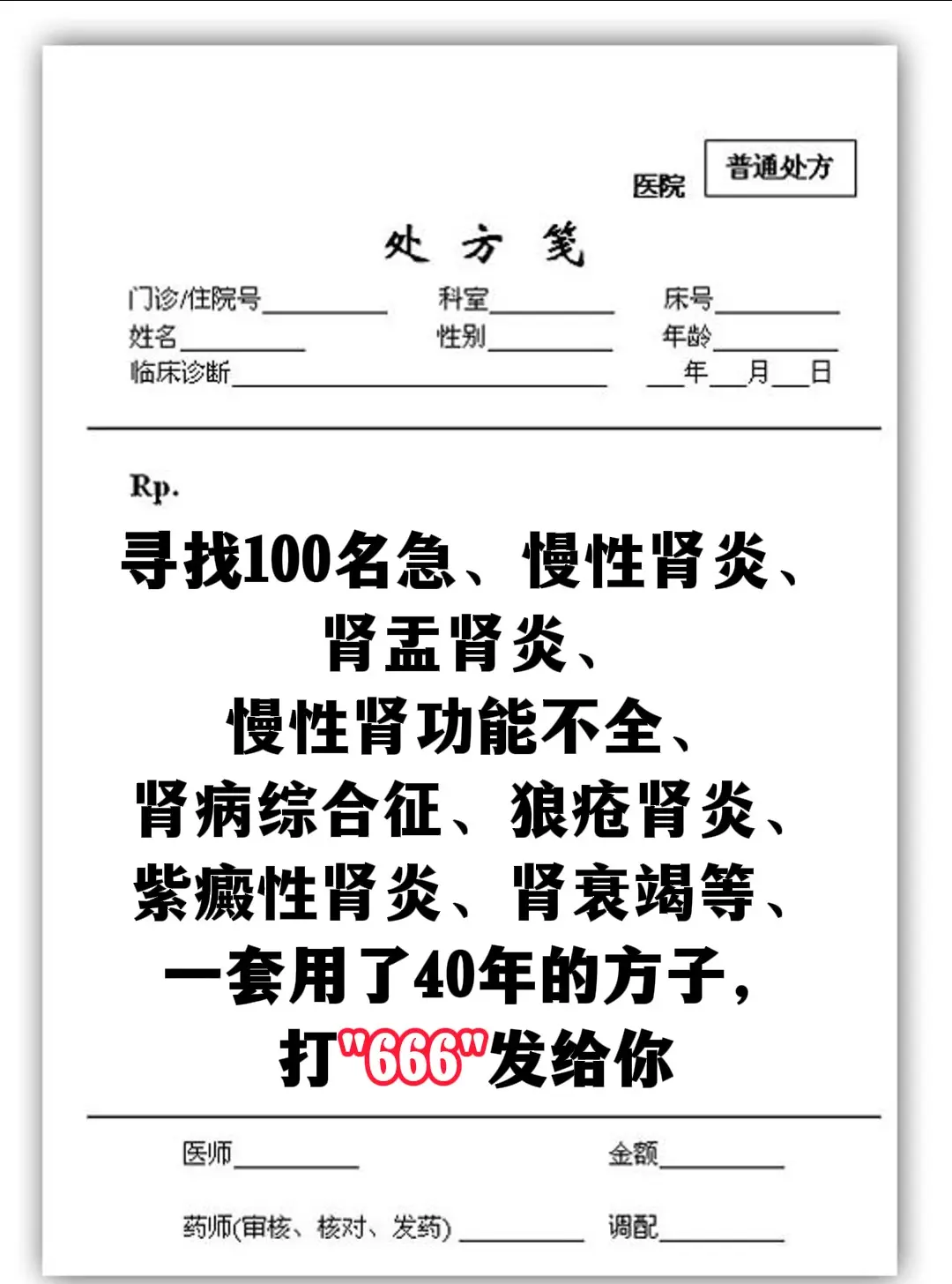 肾炎 肾病 中药 中医
