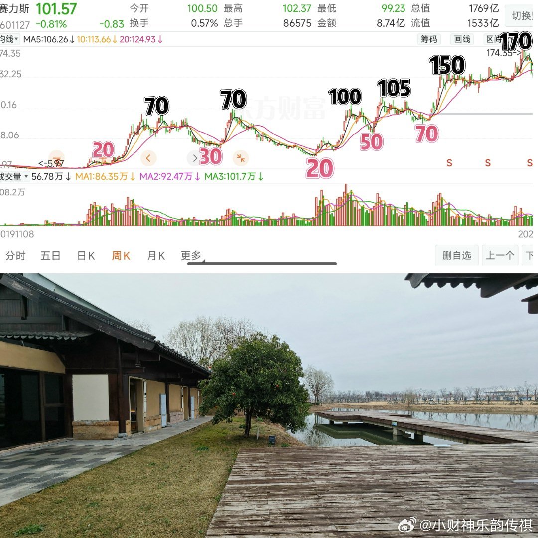 赛力斯是如何从20涨到170的、如图、这是周线、周线极度残酷、但只有拿住了的人才