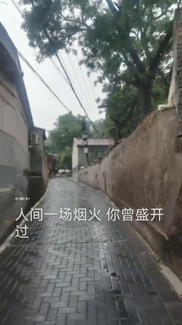 人间一场烟火你曾盛开过，刻几人在心窝从此孤独活。江南花已凋落怎堪再斟酌，可怜良辰