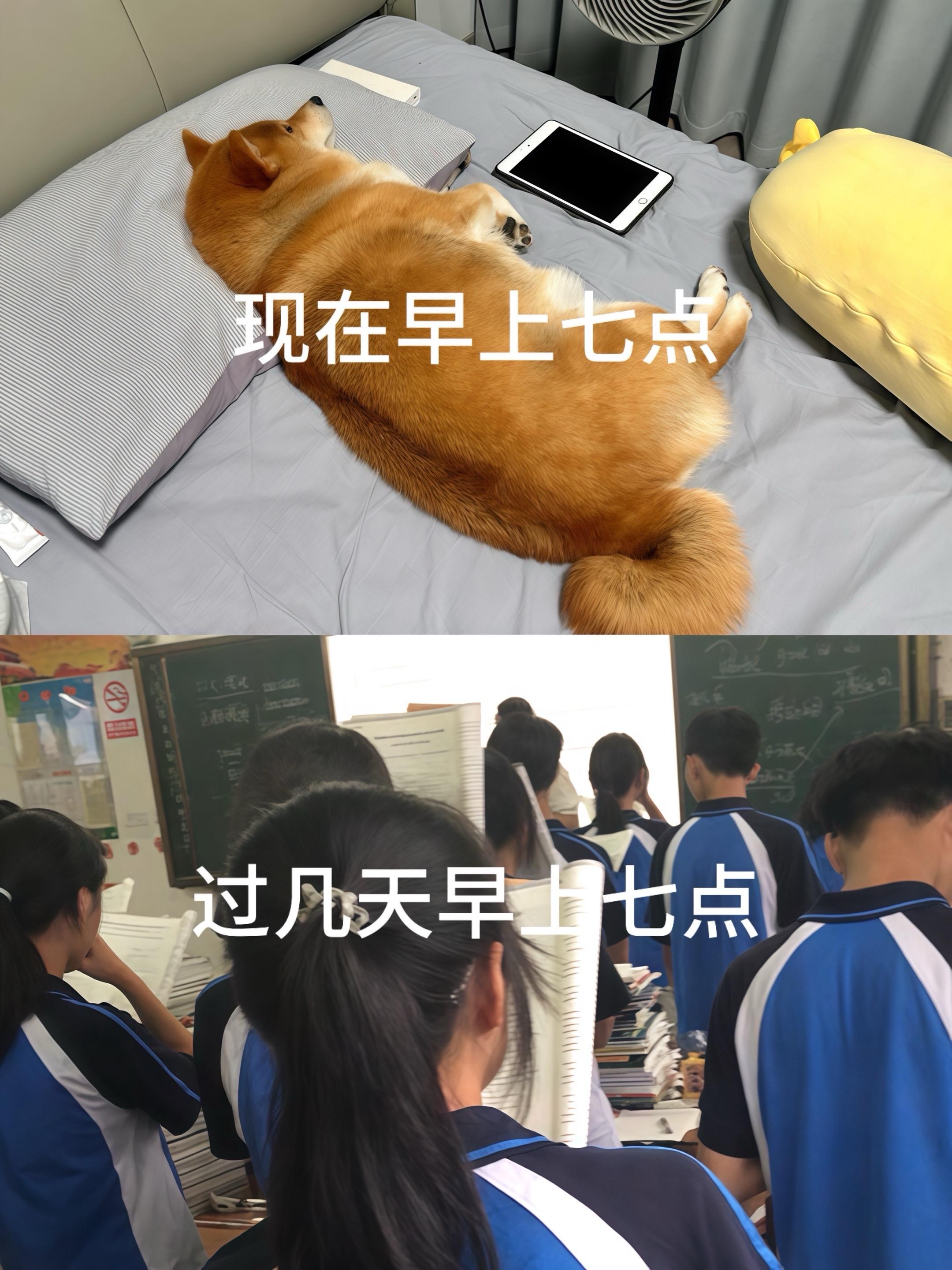 冷知识 过几天开学
