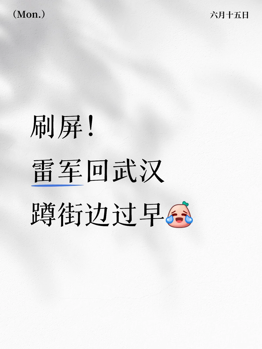 刷屏！雷军回武汉蹲街边过早
