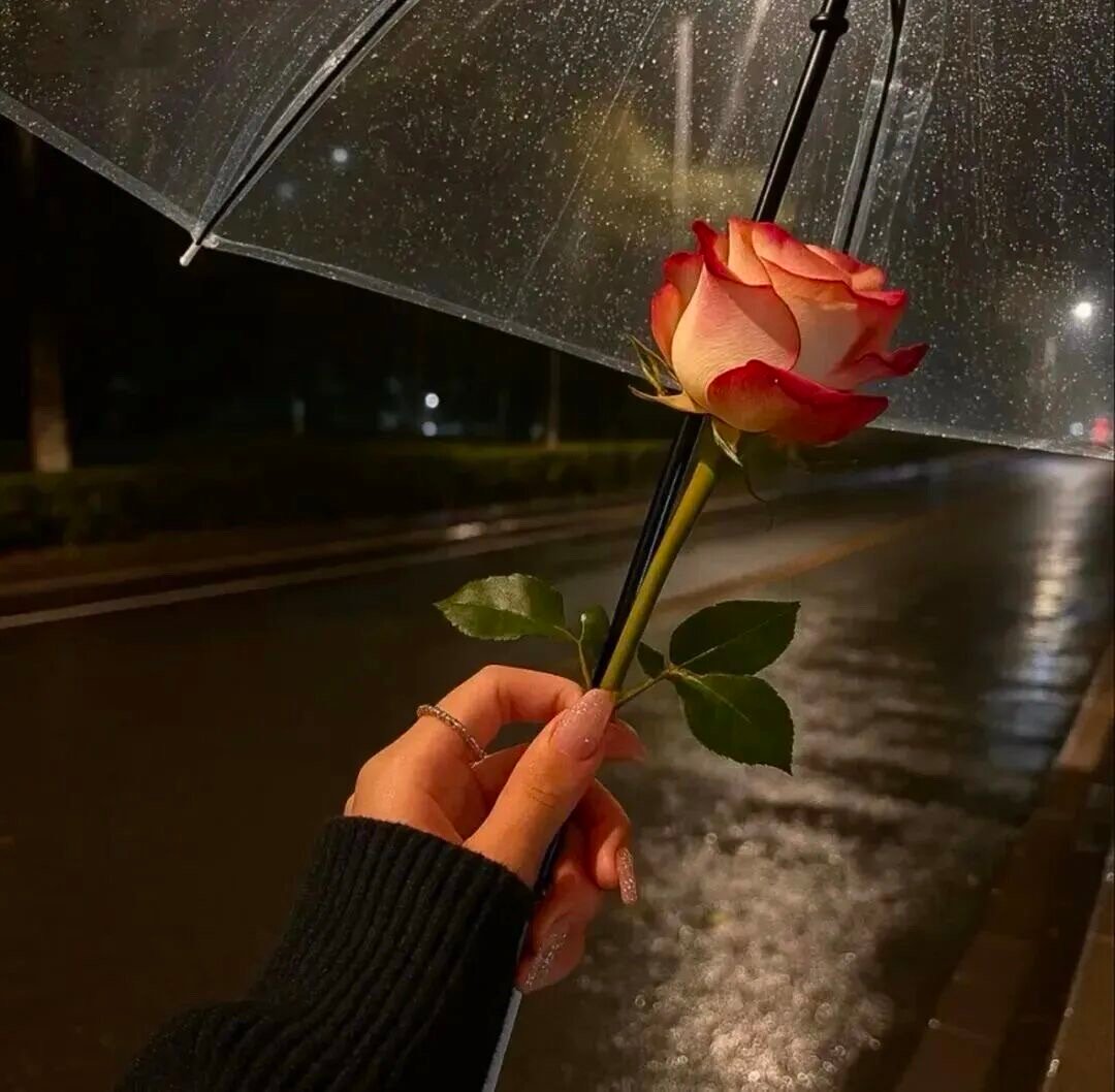 即使这样 我也不讨厌你 还是觉得遇见你真好 但是你真的伤到我了 