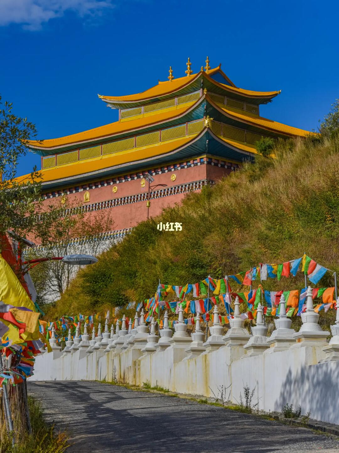 超出片的千塔佛国，既是古寺也是王宫