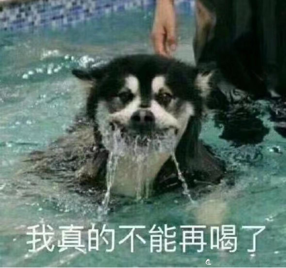 夏天大家都爱去游泳馆、水上乐园玩耍，所以玩水引发的病例就增加了...如，妇科疾病