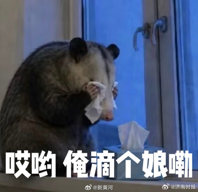 【#山东迎高温热热热热热#】山东省气象台于6月27日6时继续发布高温黄色预警：受