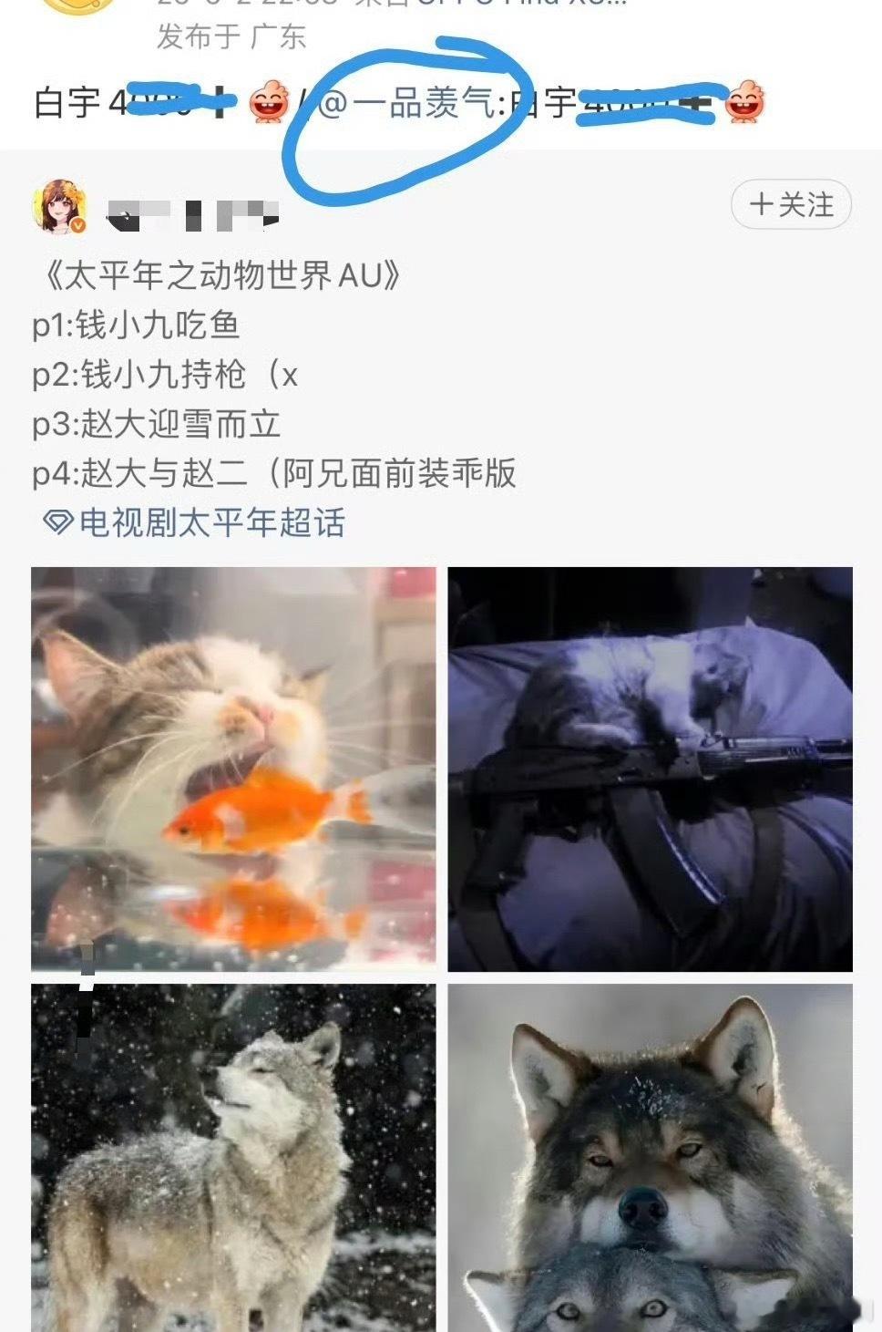 白宇无妄之灾……