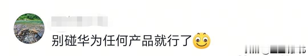 我滴乖乖，大哥你看看你在说什么，你知道华为的业务有多广吗？说话先了解清楚华为，然