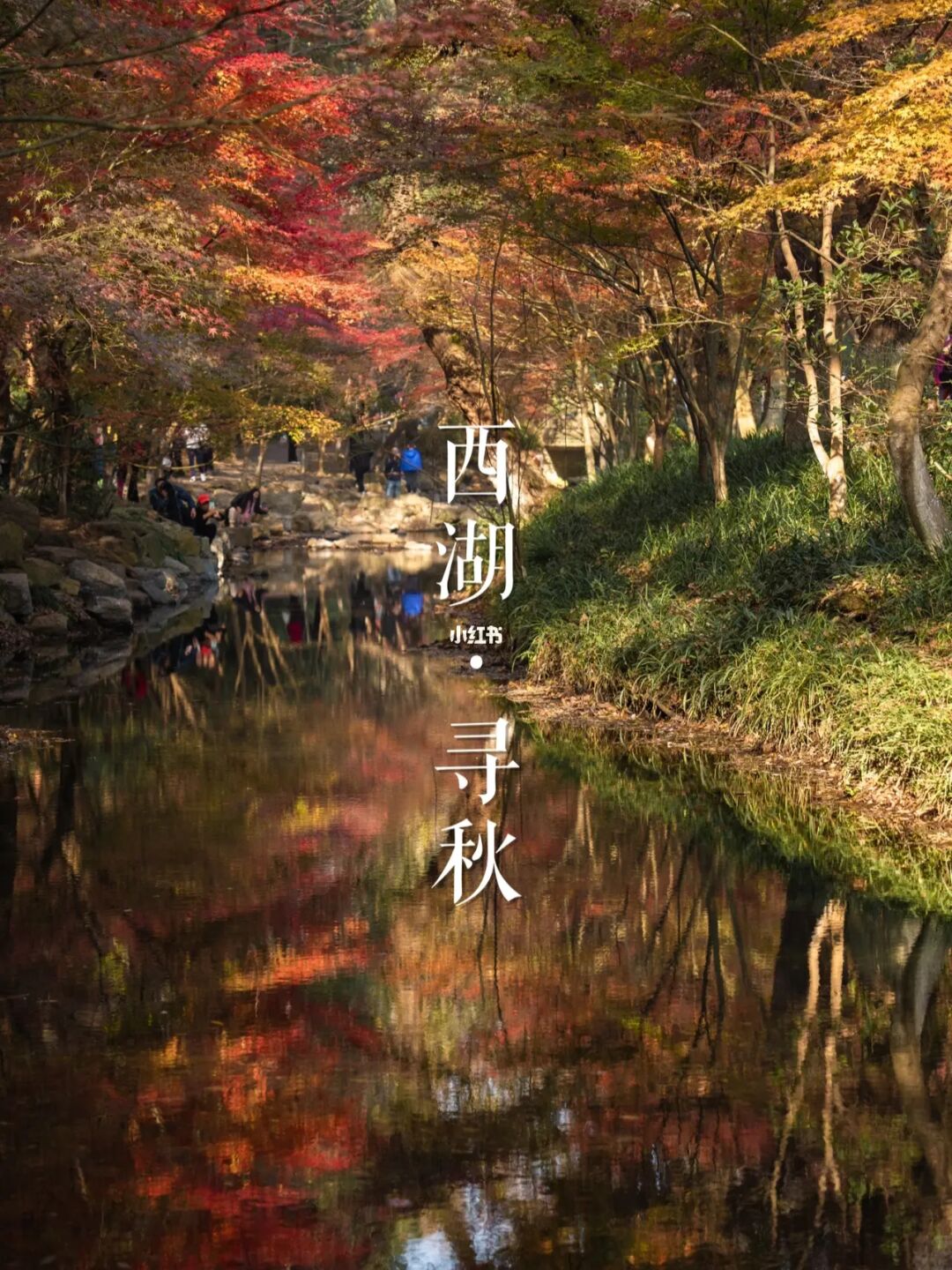 西湖寻秋🍁 | 秋日citywalk地图