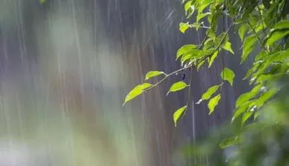 好雨知时节，当春乃发生。
随风潜入夜，润物细无声。

凌晨一场春雨悄然而至，
滋