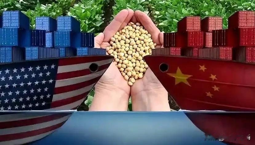 美国农业部12月17日发布消息，中国取消了13.2万吨美国小麦进口订单，没有说明