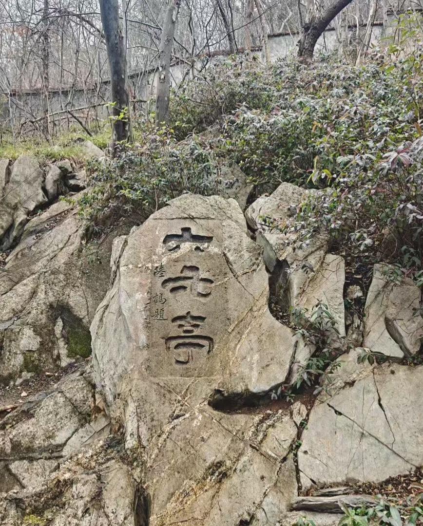 把自己养在高能量的地方
 
人活到一把年纪，才慢慢琢磨明白一个理儿：日子过得舒心