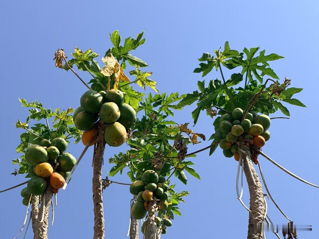 真正有智慧的婆婆，儿媳妇不管咋样，都抱着一个态度“不在乎”。
儿媳妇说婆婆的坏话