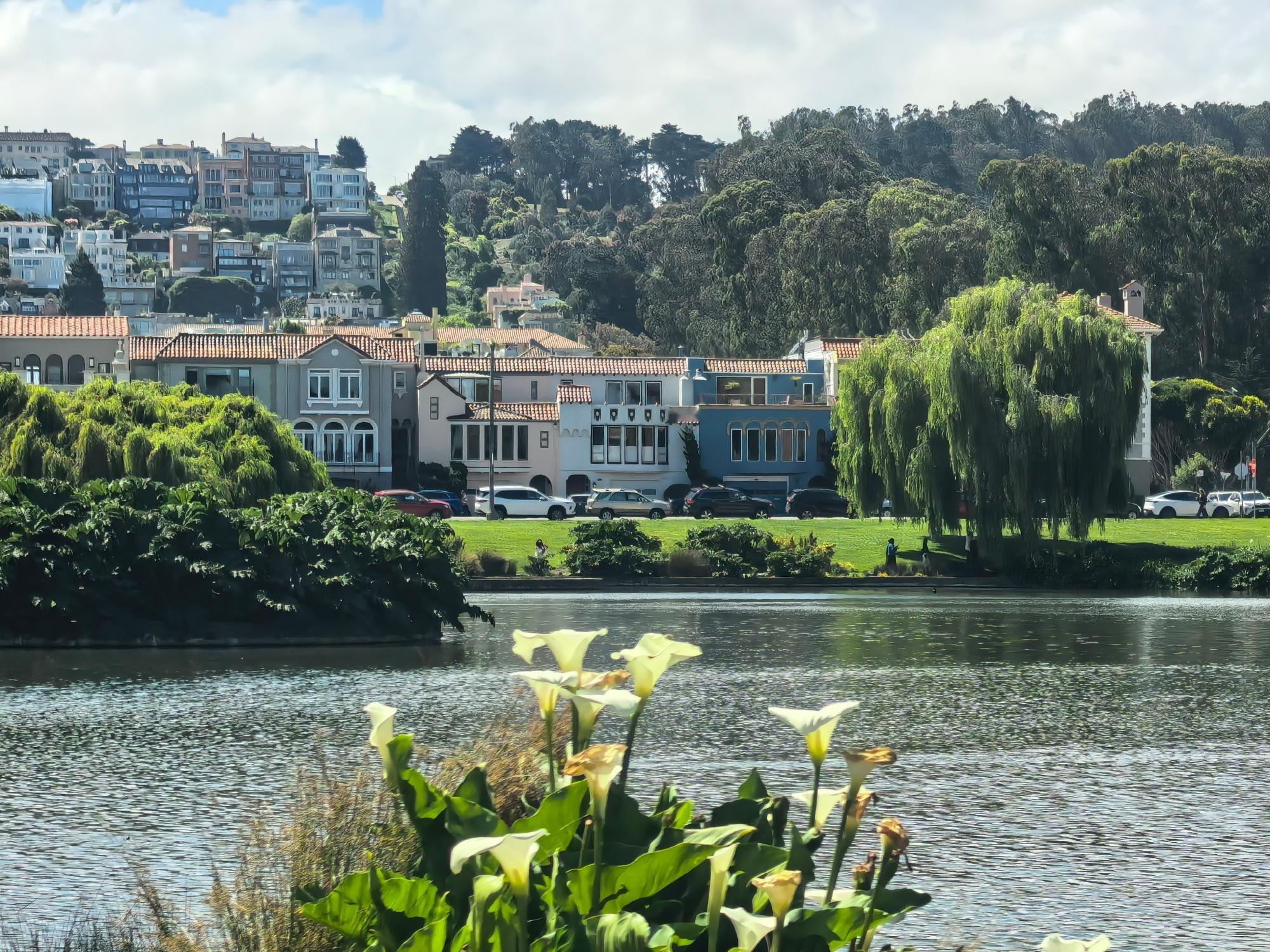 今天是旧金山难得的一天好天气。照片是旧金山艺术宫，这是 1915 年巴拿马太平洋