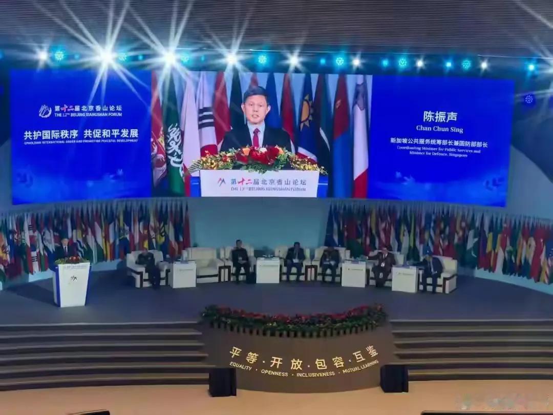 新加坡国防部长陈振声说，“一个国家一旦沦为代理人或传声筒，就会失去公信力，进而失