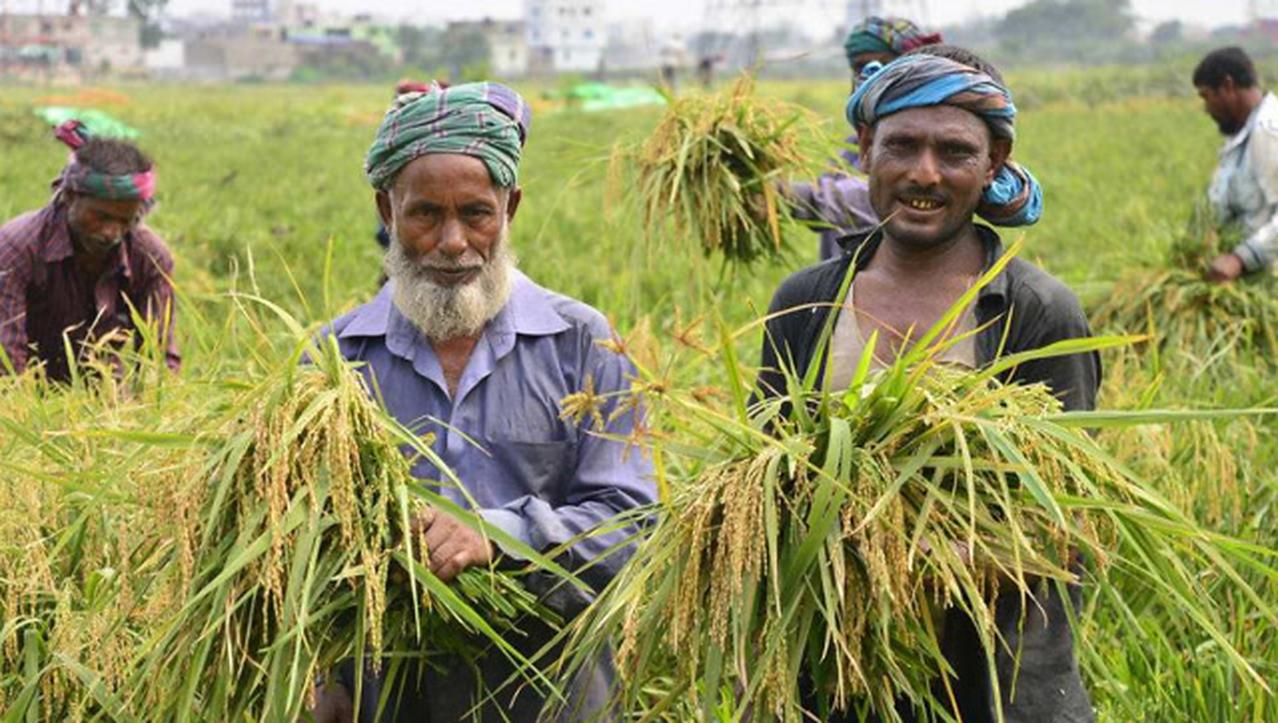 印度3000万人要没饭吃！咋回事？

这听着吓人，其实是多年老问题集中爆发了。最