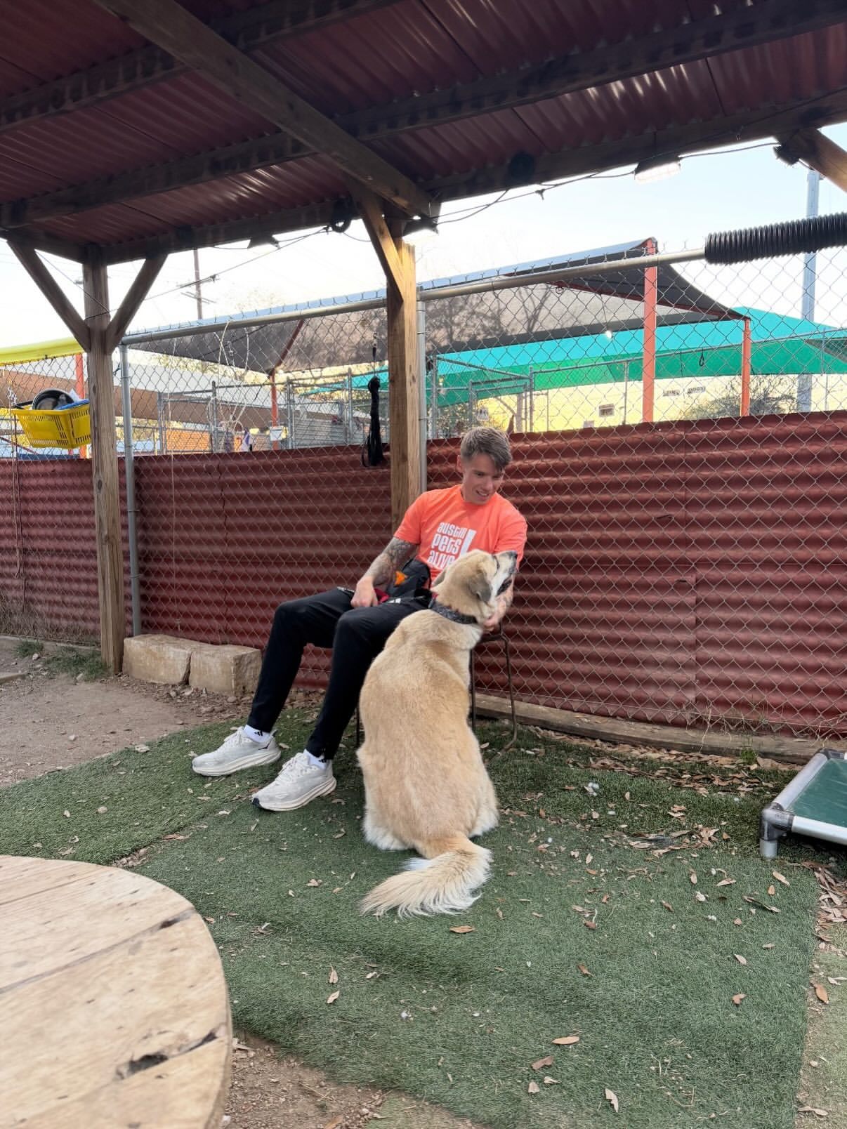 想更新一下泰勒近况ins文案｜滑动查看更多世界上最美丽的人……以及我的妻子 :)