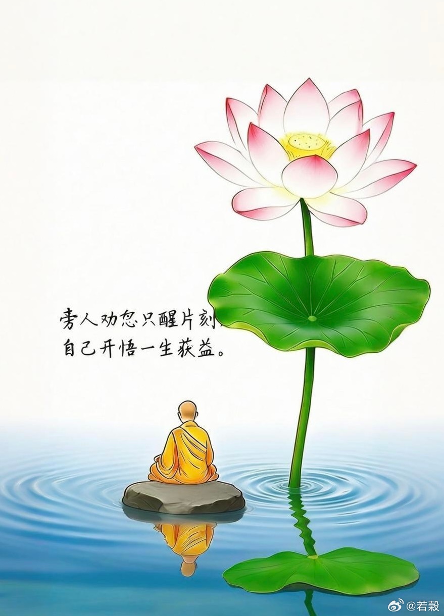 旁人勸慰只醒片刻，自己開悟一生獲益。佛经[超话]莲花[超话] ​​​