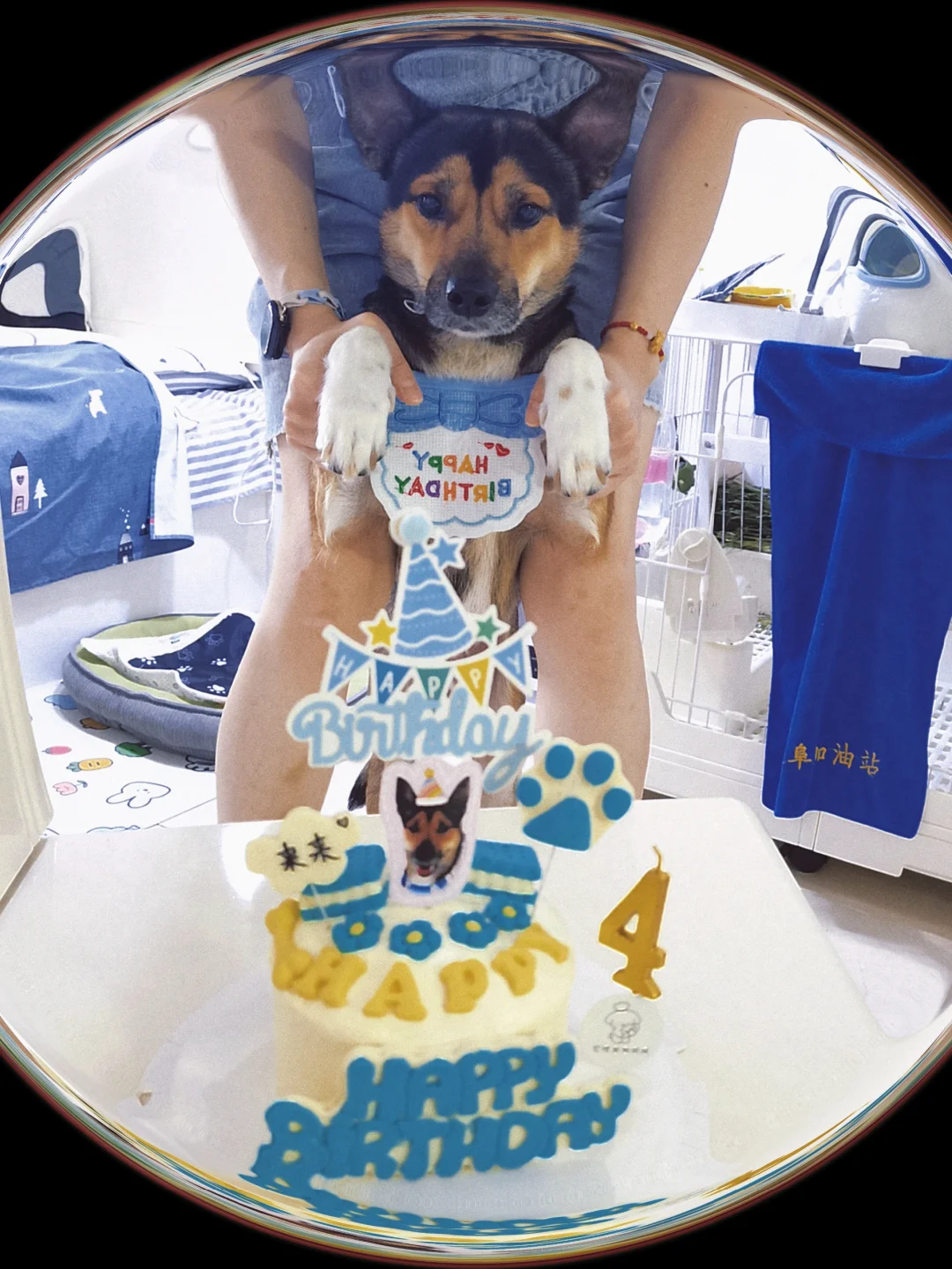 生日快乐我的小狗～