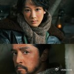 生命树收视破2点5 《生命树》收视一路飙升破2.5，这成绩太亮眼啦！它用精彩的剧