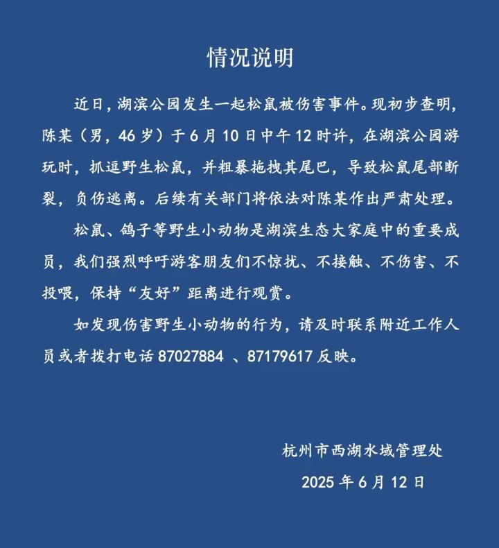 【#官方通报西湖松鼠被伤害事件#】6月10日，社交平台上有网友发帖称“杭州西湖石
