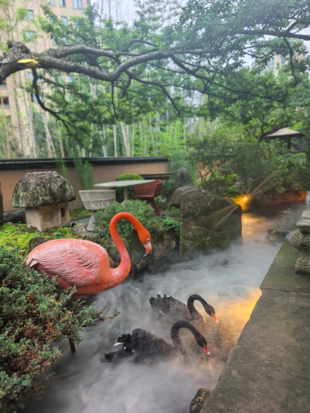带oi家门口吃个饭 今天给他穿了新衬衫 鞋子是皎皎那里借来的 