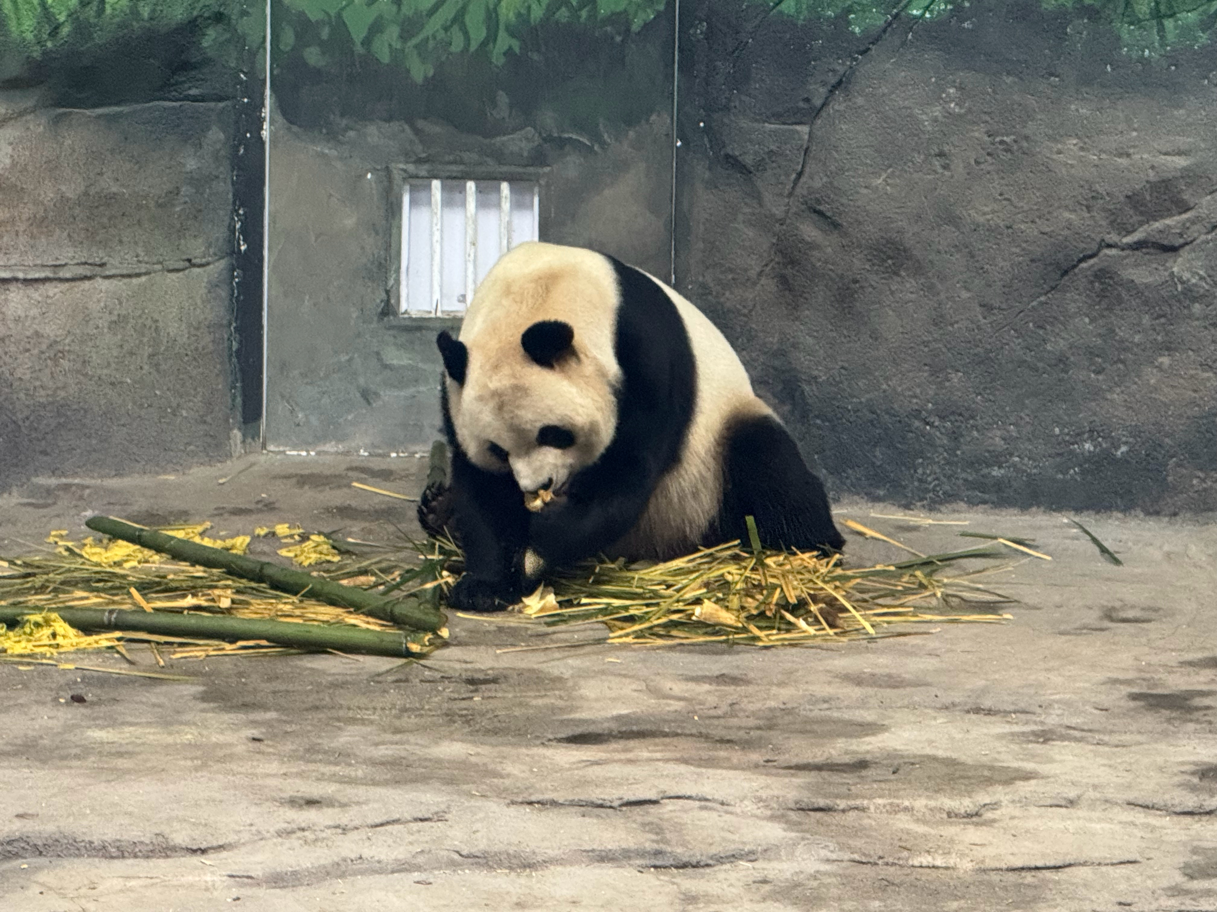 万千气象看龙江 作为冰雪经济的标杆，太阳岛雪博会以150万㎡规模、260余处雪雕