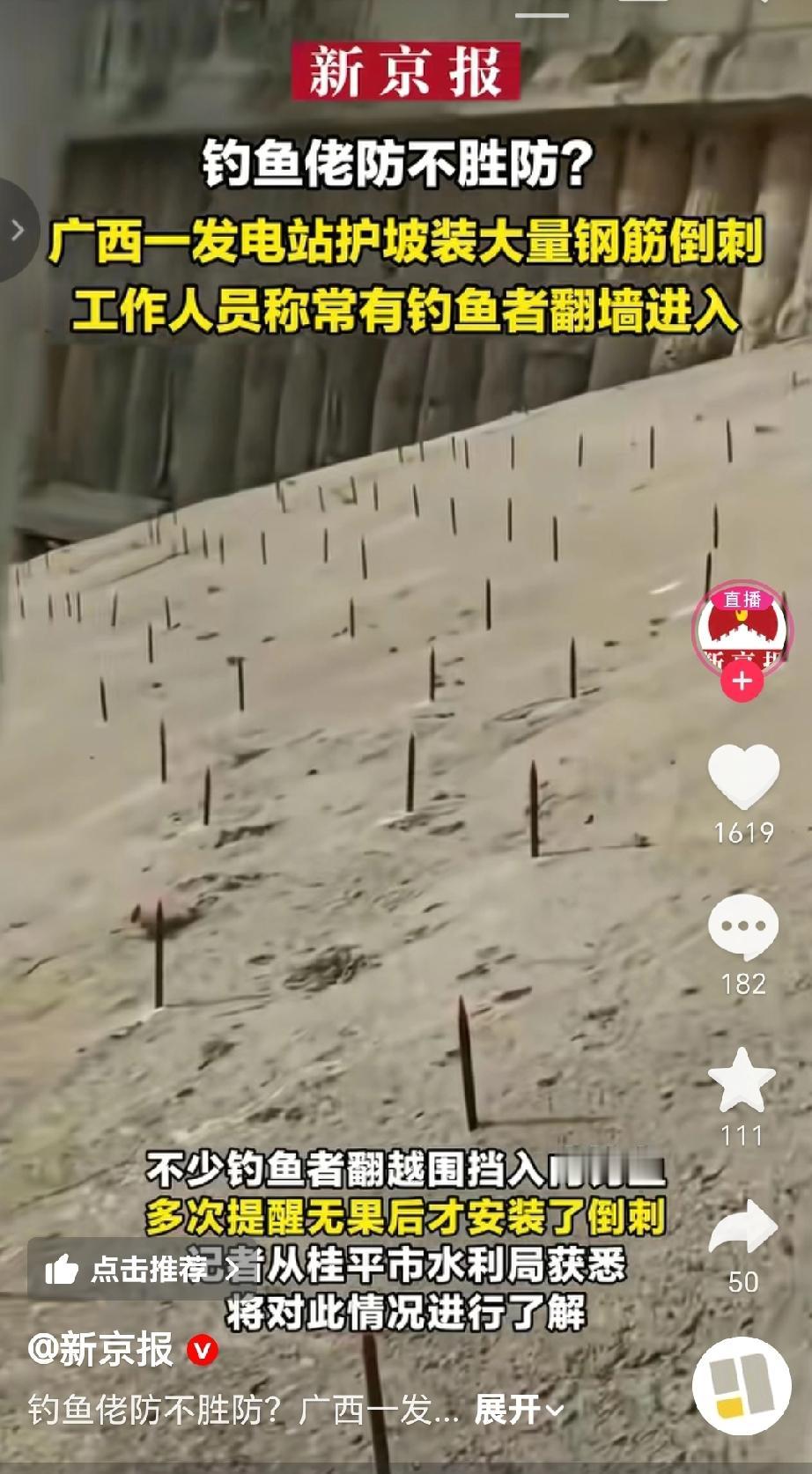 近日广西一 发电站护坡安装了大量钢筋倒刺，原因是常有钓鱼者翻墙进入该区域钓鱼， 