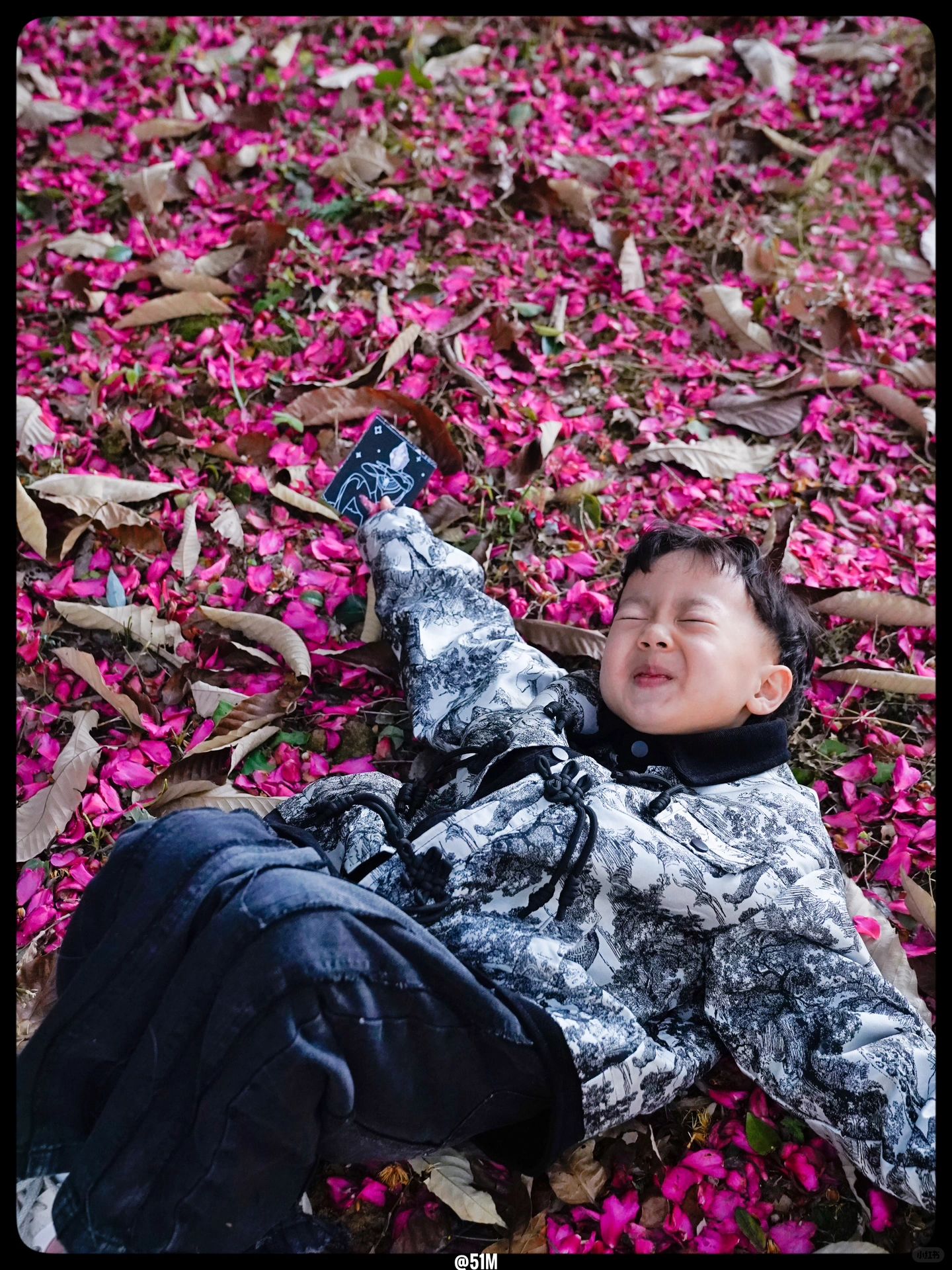谁说冬日无花可赏？温州的市花茶花正花期呢