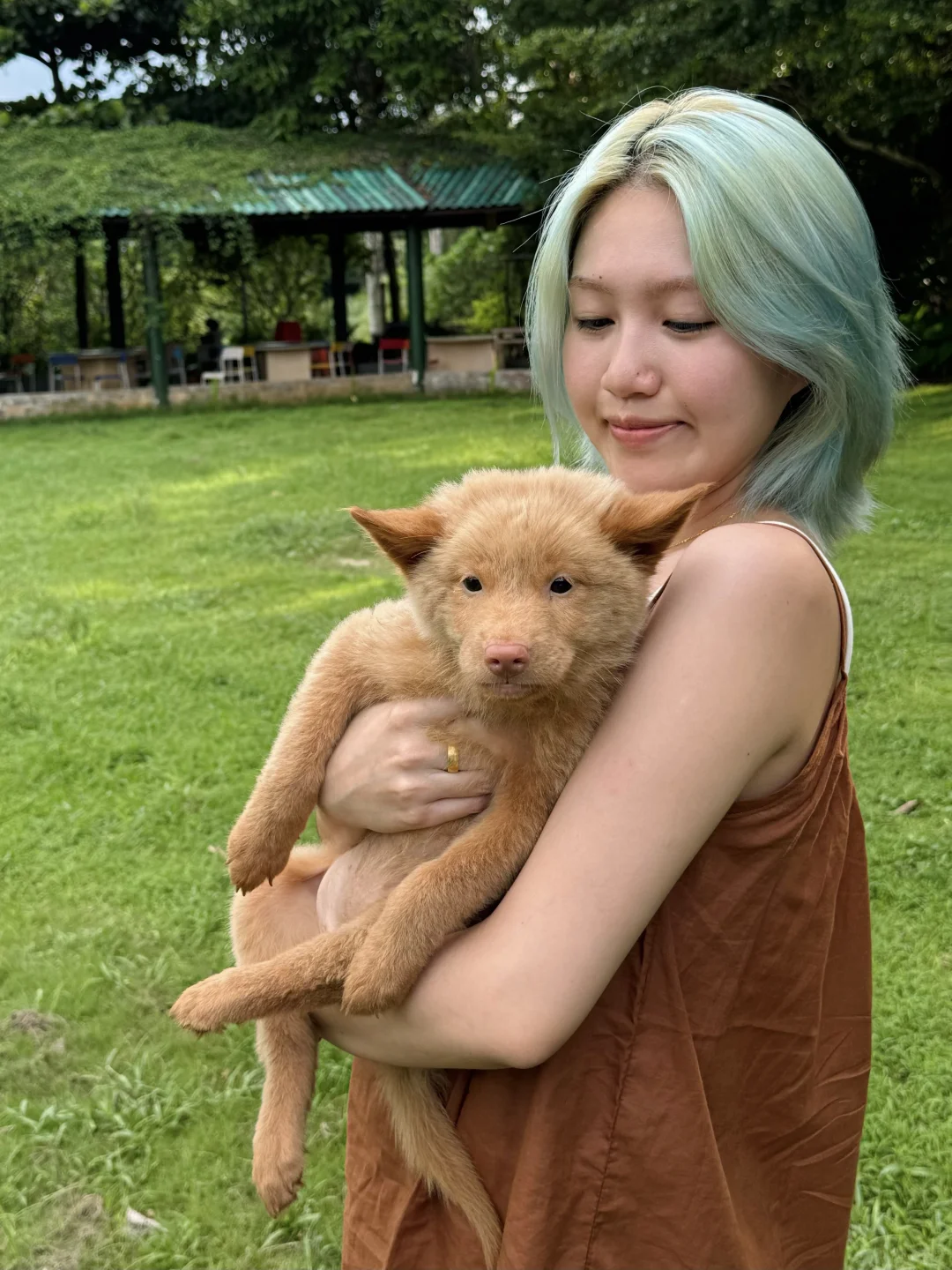 好幸福☺️玩到土松啦！！！还有迷你腊肠婴儿！！