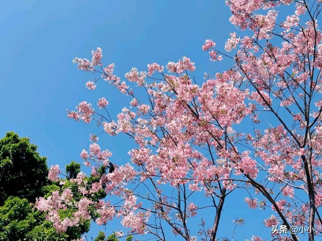 真搞不懂我家这位亲戚，心态好到让人佩服。我也想学一学这心态。
 
两个儿子都还没