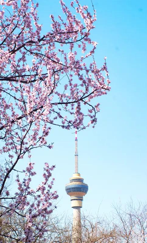 今天来谈一谈汽车市场。

为什么大家都觉得近些年来钱不好赚了，但是国内的新能源车