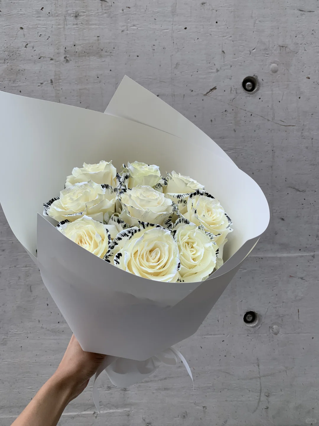 RollingRose 北京花店 厄瓜多尔玫瑰 小众花材