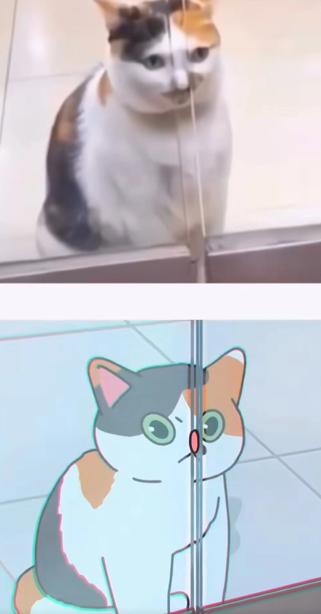 如果现实里的猫猫变成漫画 ​​​