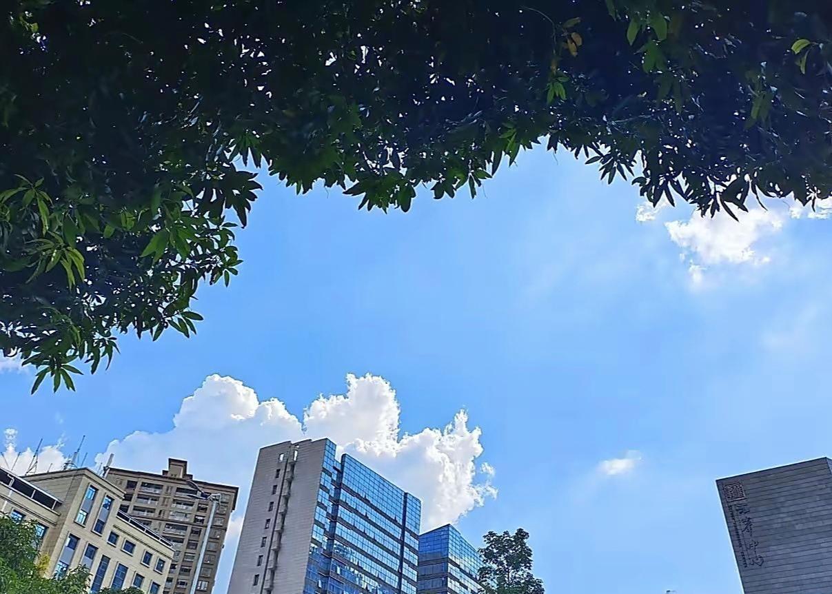 “经验这东西，还真不是几张动画PPT就能替代的。”确实如此啊，经验的价值远非几张