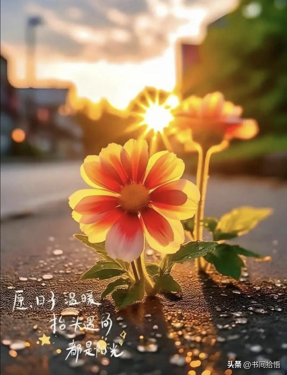 性学家李银河说：“如果你已经60岁了，那么你来日不多了，没有意外，最多还能过20