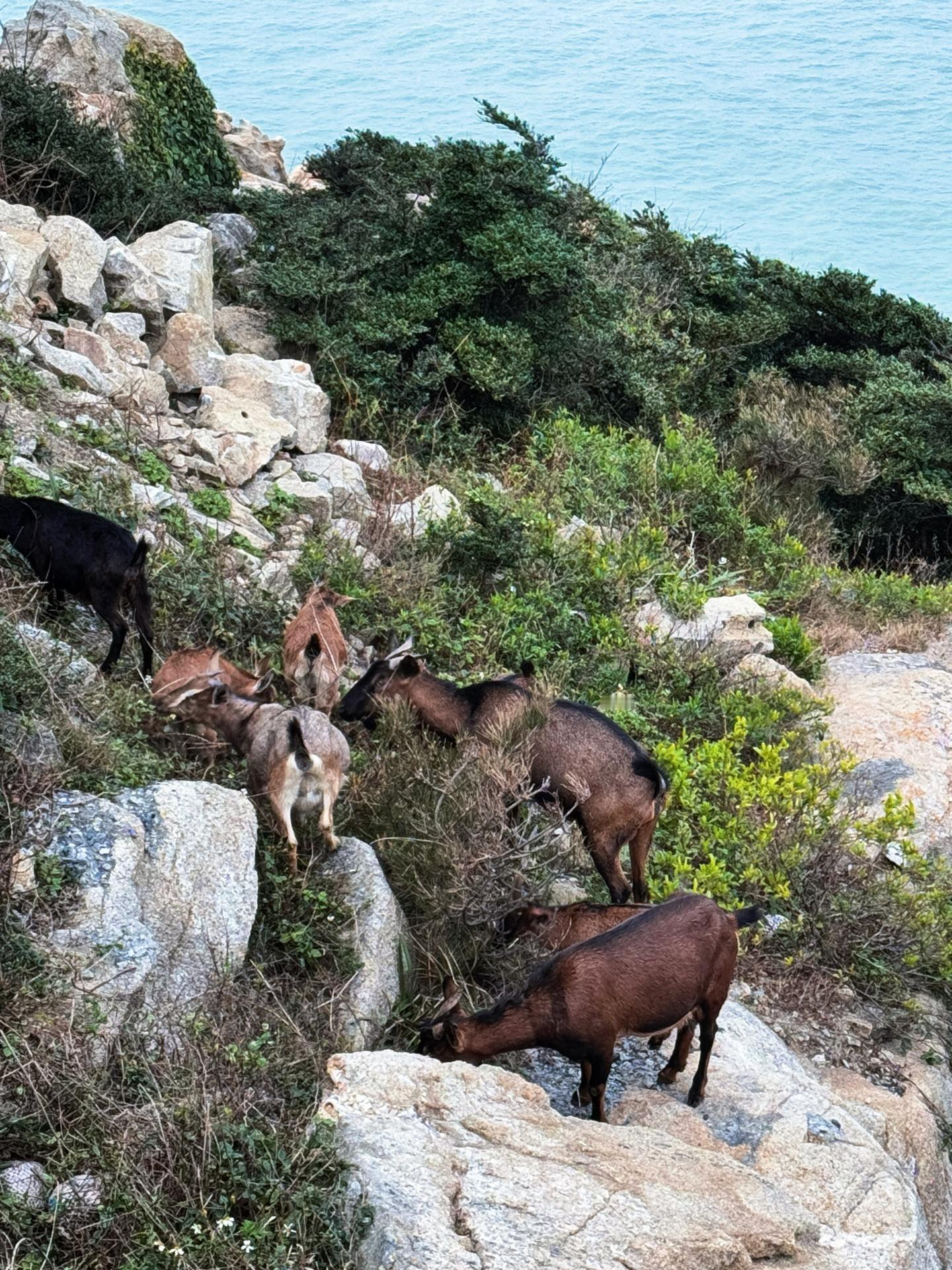 sa的旅行日记  ｜🌊踏上平潭岛，就像闯入了一个被尘世遗忘的梦境。海风轻拂脸颊