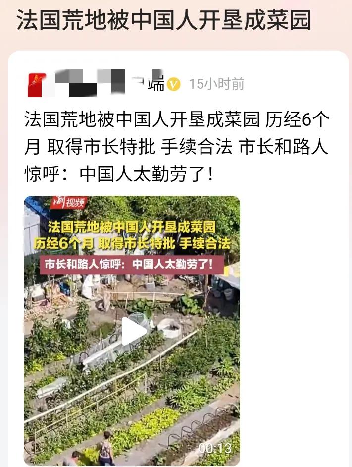 我认为“中国人在法国垦荒种菜”这个视频说明了三个问题：

一，说明了我们中国人对