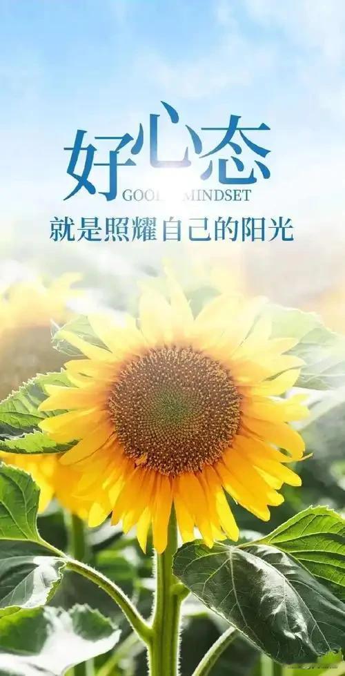 独处不是孤独，是成年人最好的自愈！
 
越长大越不爱扎堆，不再热衷饭局聚会，空闲