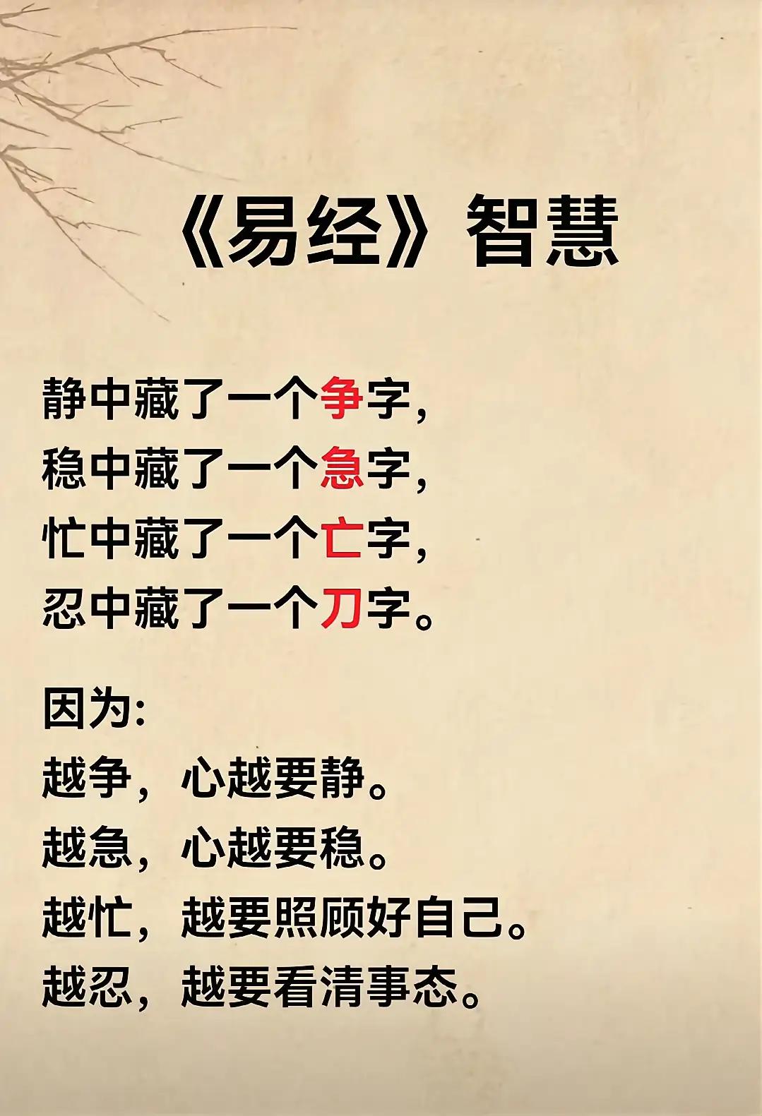 🪷 我曾把“随缘”当摆烂，中年才懂是顶级自救

年少时去母亲那位修佛的老友家，