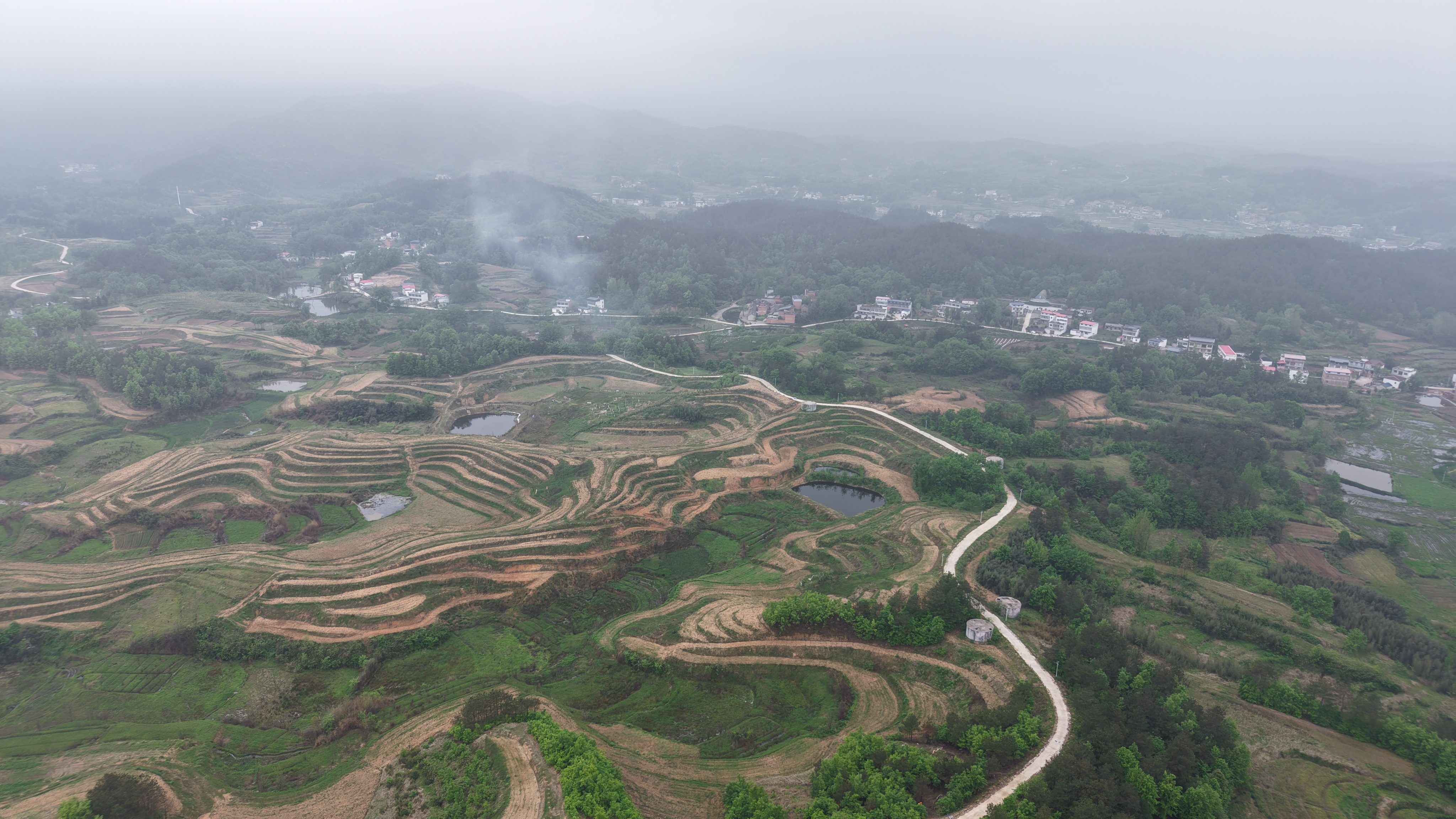 一阵春风吹醒了信阳商城高山茶一阵春风吹醒了信阳商城高山茶。山峦叠翠间，云雾轻绕茶